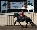 Horse Show - Monterey Springfest 2010