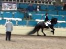 Horse Show - IFSHA World Grand National Championships 2010