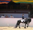 Horse Show - Santa Barbara National 2009