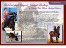 Horse Show - 2014 Article Published in FHANA magazine