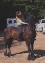 Horse Show - Jack Brooks Camping Trip