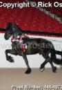 Horse Show - IFSHA Grand Nationals 2006