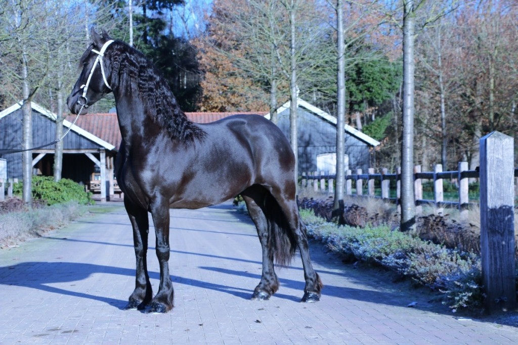 Cover photo of Jovani