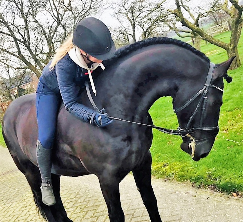 Cover photo of Tabe Ster AND Sport