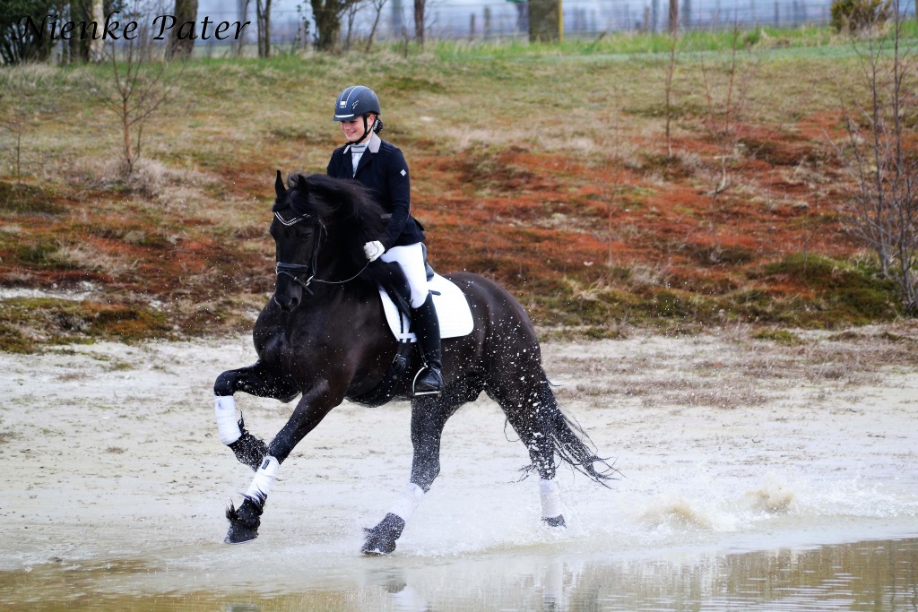 Cover photo of Floris STER Sport ELITE