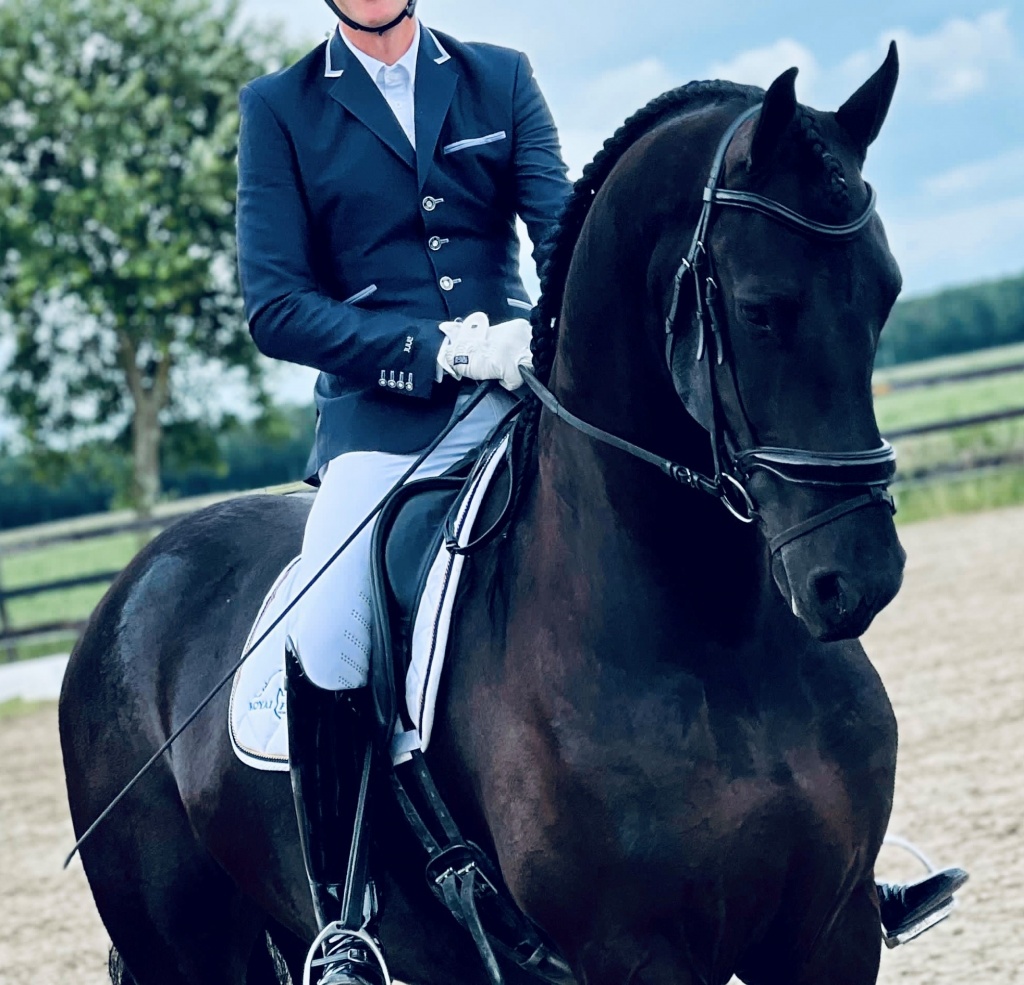 NEELY - Friesian Horse for Sale