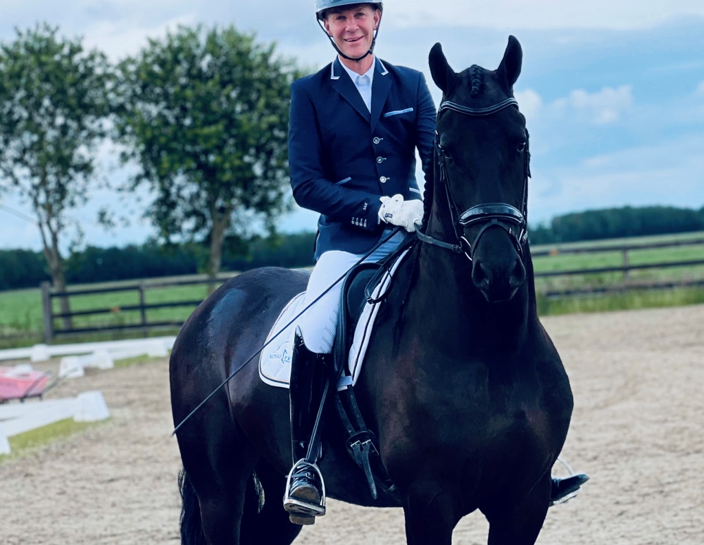 NEELY - Friesian Horse for Sale