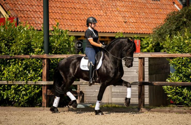 Gallery Photo of Dirk van Doorndraai STER - #1