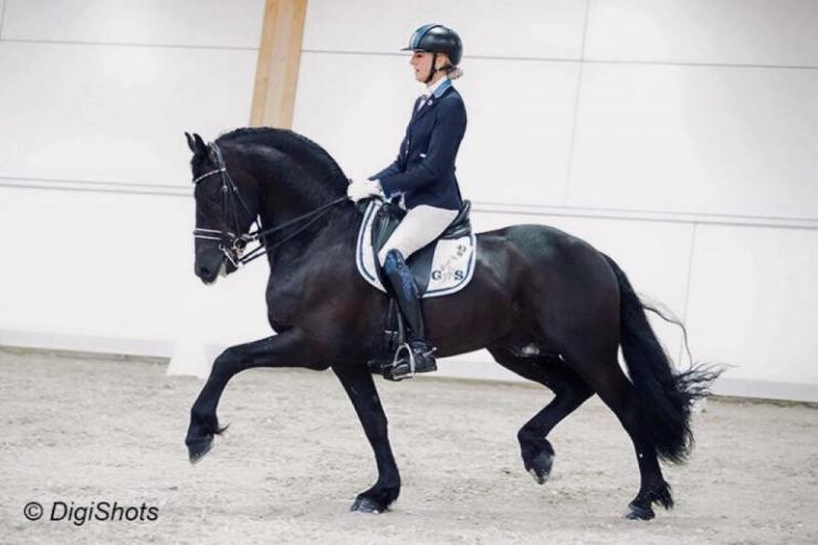 Gallery Photo of ONYX STER SPORT ELITE - #2