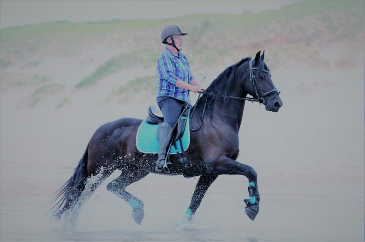 Gallery Photo of ENZO - #1