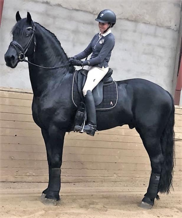 Gallery Photo of Phryso STER and SPORT - #11