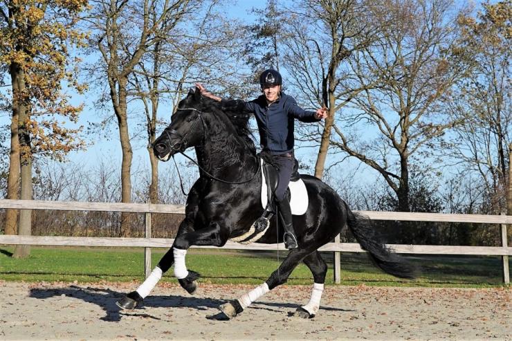 Gallery Photo of Zorro BSF STER - #1