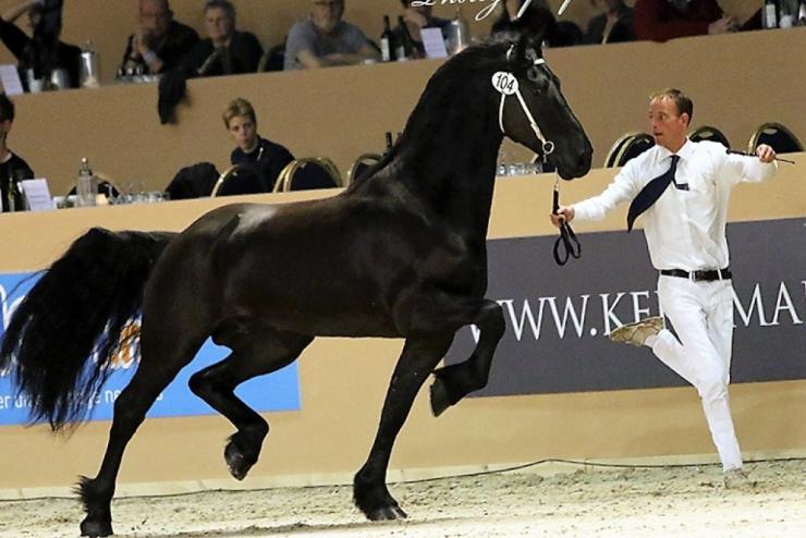 Gallery Photo of Phryso STER and SPORT - #20