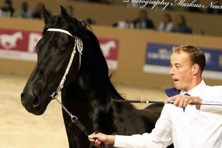 Gallery Photo of Phryso STER and SPORT - #25