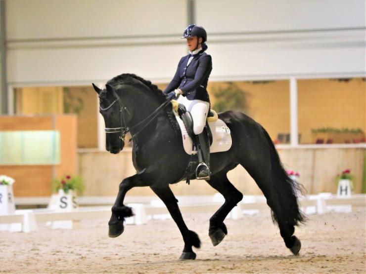Gallery Photo of Pinot Noir STER SPORT - #16