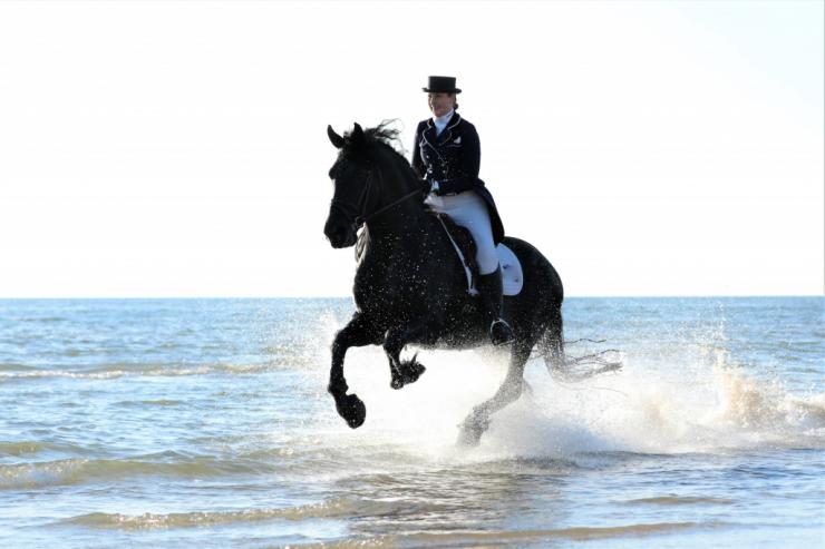 Gallery Photo of TWIX STER SPORT - #1