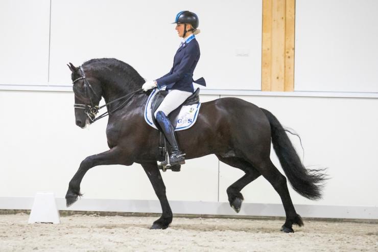Gallery Photo of ONYX STER SPORT ELITE - #1