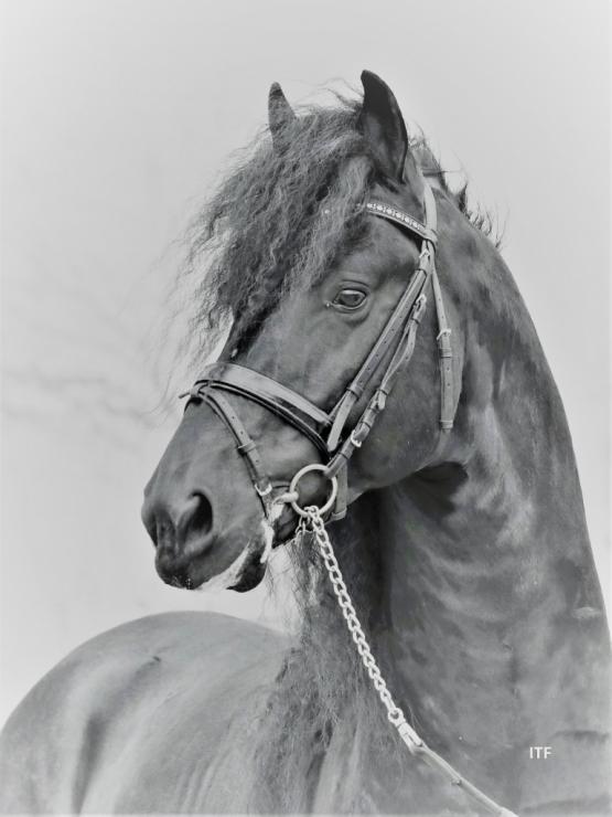 Gallery Photo of BOTTEGA - #8