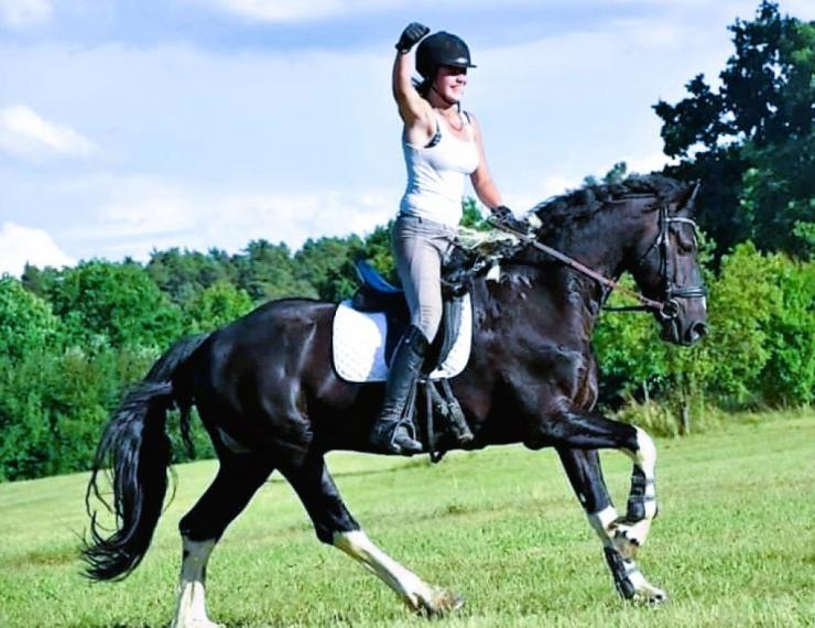 Gallery Photo of Bran  - #31
