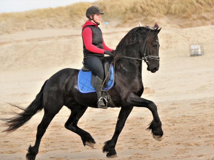 Gallery Photo of DUCATI All Blacks - #14