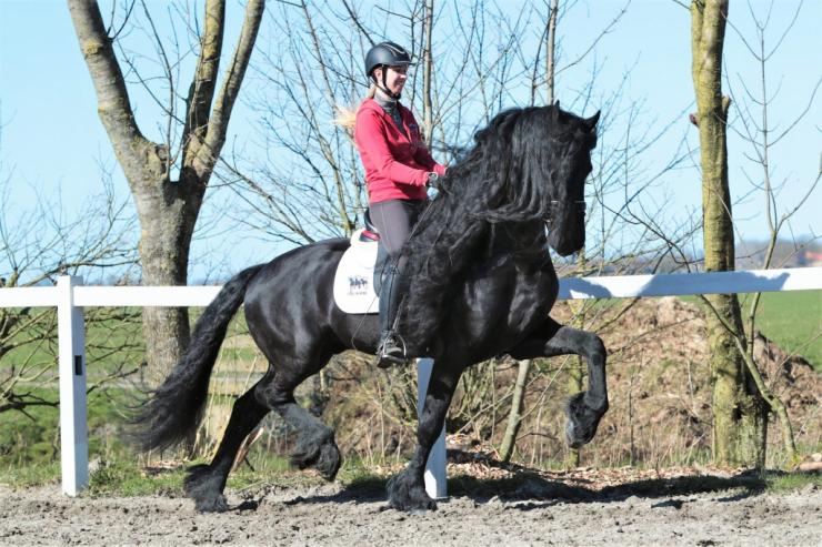 Gallery Photo of Timen STER - #17
