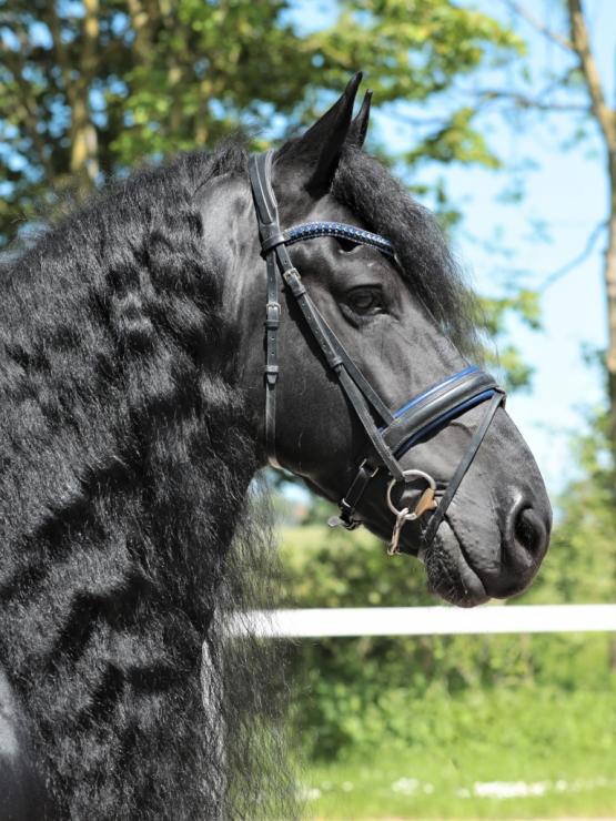 Gallery Photo of TWIX STER SPORT - #15