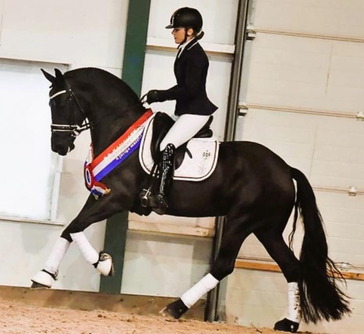 Gallery Photo of Rinske STER SPORT AA - #6