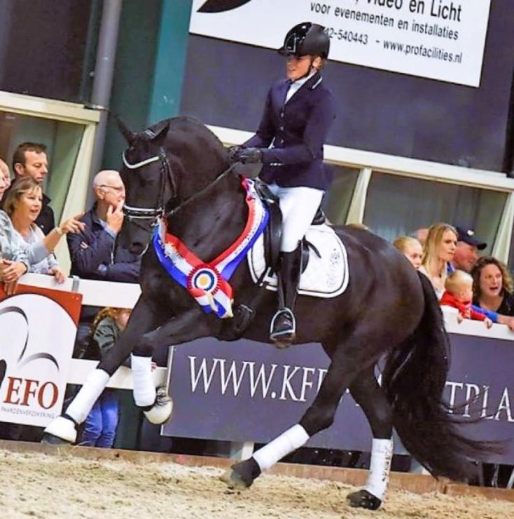 Gallery Photo of Rinske STER SPORT AA - #8