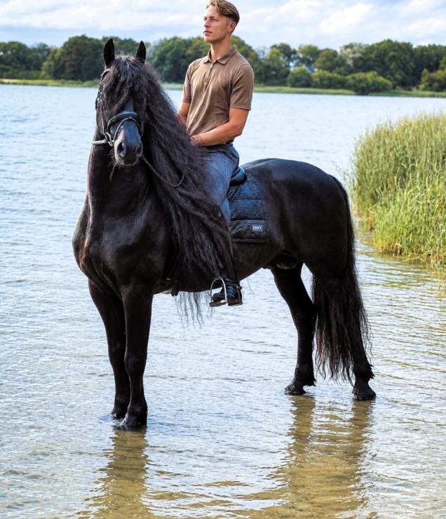 Gallery Photo of WINDSOR STER SPORT - #36