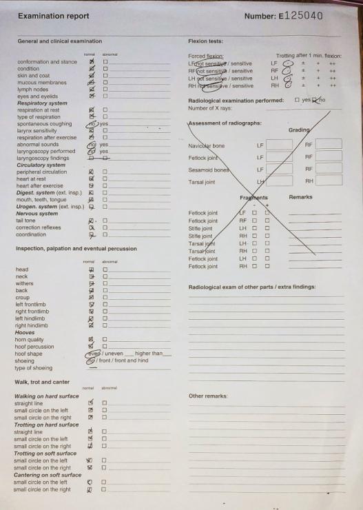 Gallery Photo of EVERT BSF - #49
