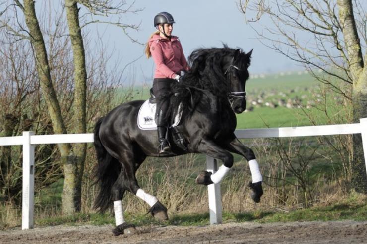 Gallery Photo of TWIX STER SPORT - #34