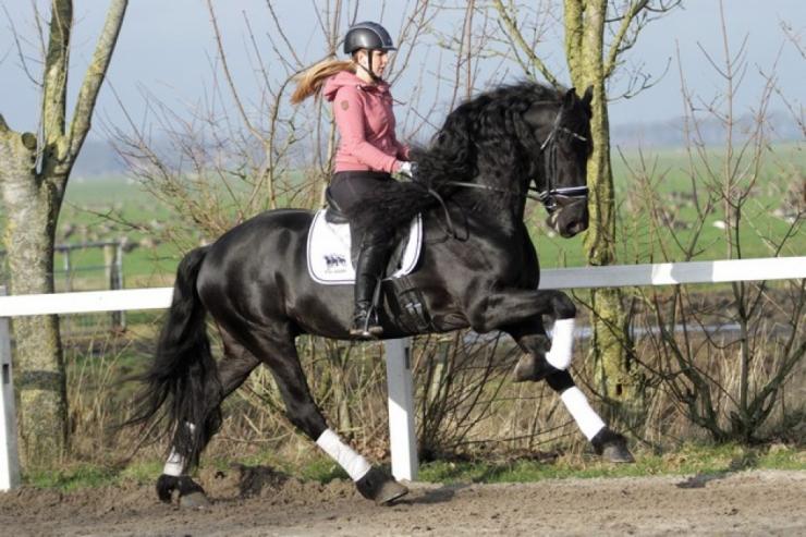 Gallery Photo of TWIX STER SPORT - #35