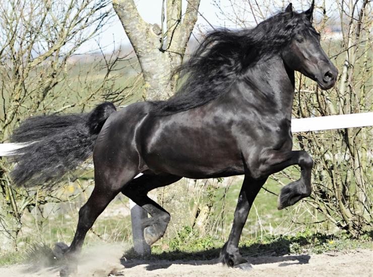 Gallery Photo of Pinot Noir STER SPORT - #21