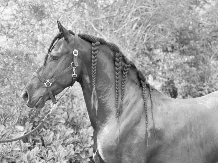 Gallery Photo of GIVENCHY - #33