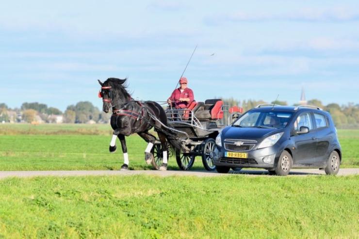 Gallery Photo of Norbit SPORT - #13