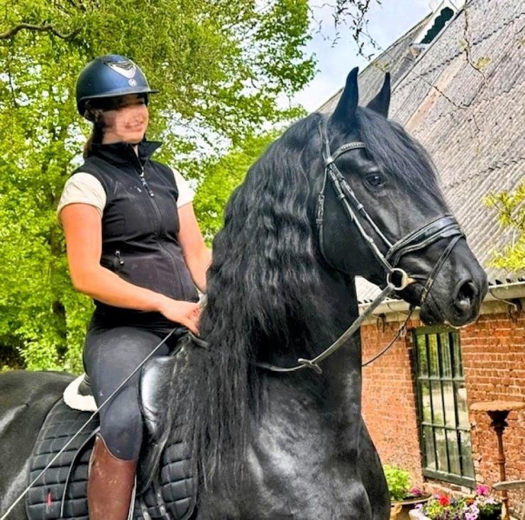 Gallery Photo of STERLING OBSIDEON - #1