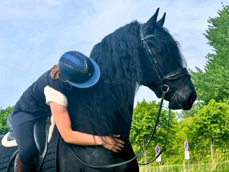 Gallery Photo of STERLING OBSIDEON - #12