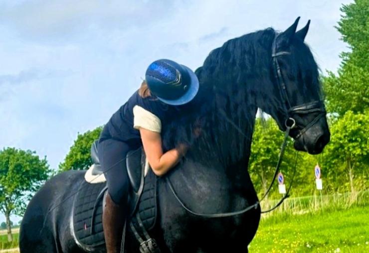 Gallery Photo of STERLING OBSIDEON - #13