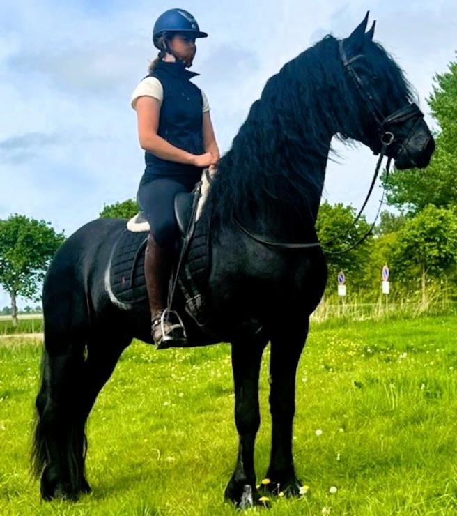 Gallery Photo of STERLING OBSIDEON - #14