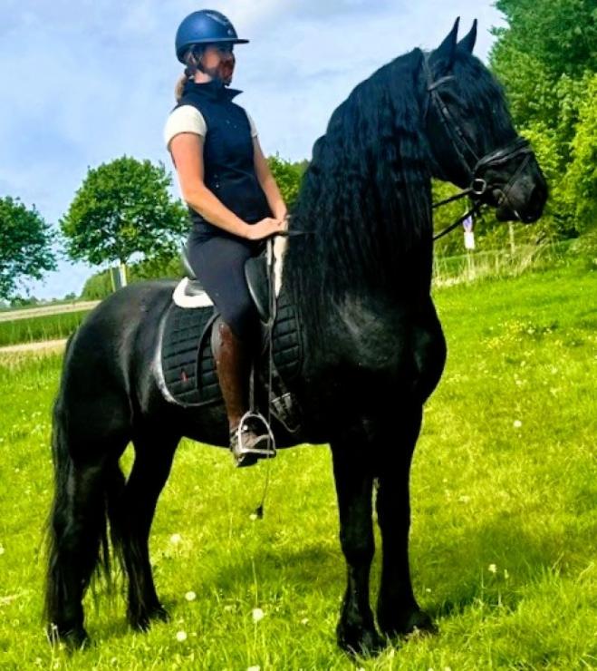 Gallery Photo of STERLING OBSIDEON - #17