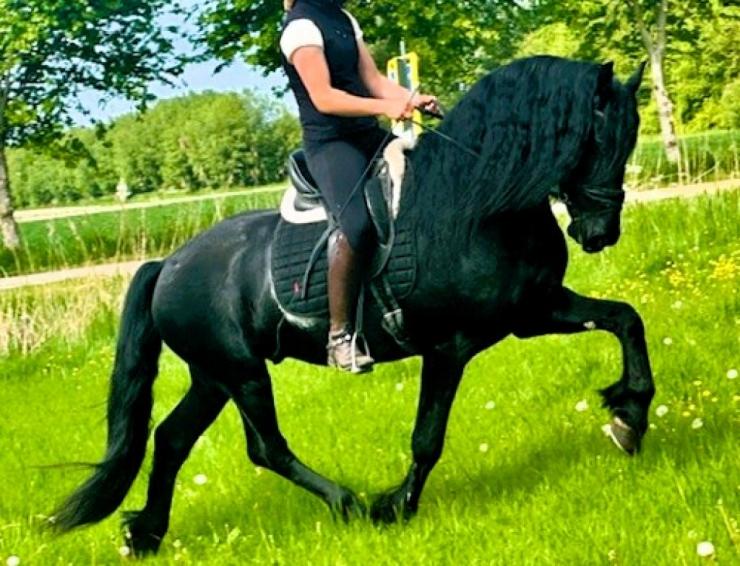 Gallery Photo of STERLING OBSIDEON - #19