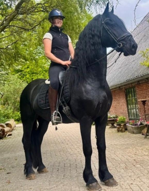 Gallery Photo of STERLING OBSIDEON - #3