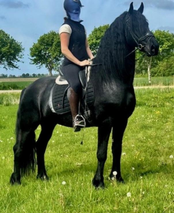 Gallery Photo of STERLING OBSIDEON - #20