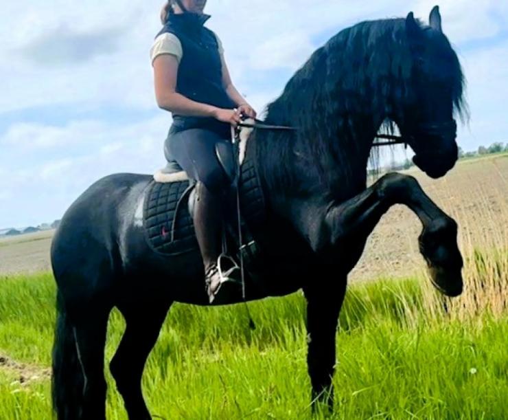 Gallery Photo of STERLING OBSIDEON - #21