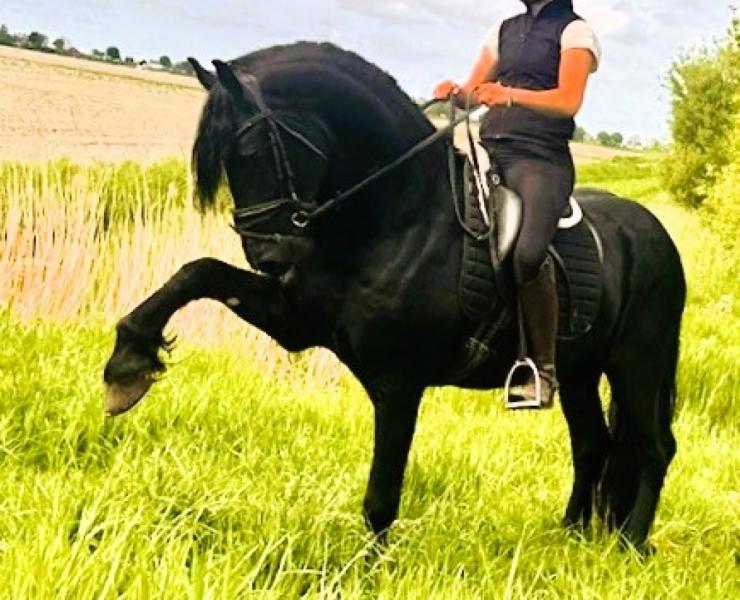 Gallery Photo of STERLING OBSIDEON - #23