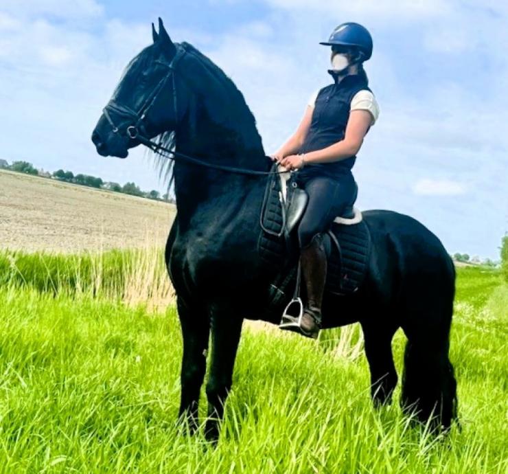 Gallery Photo of STERLING OBSIDEON - #24