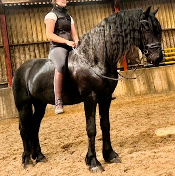 Gallery Photo of STERLING OBSIDEON - #26