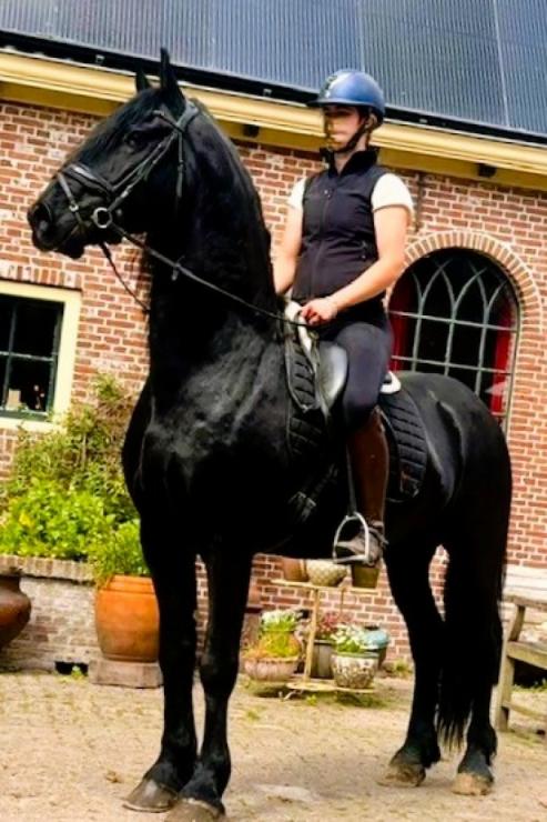 Gallery Photo of STERLING OBSIDEON - #6