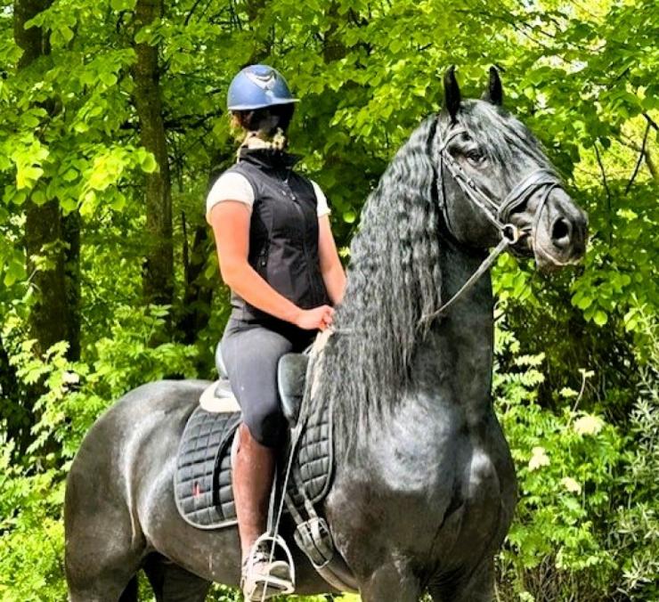 Gallery Photo of STERLING OBSIDEON - #7