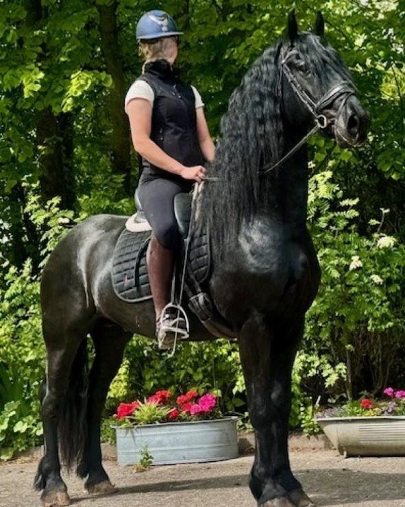 Gallery Photo of STERLING OBSIDEON - #8